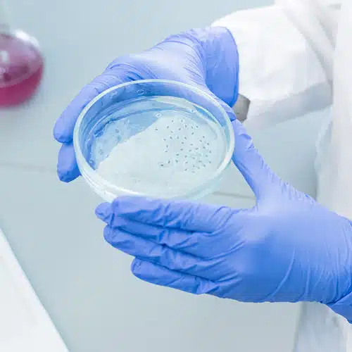 محیط کشت سلولی