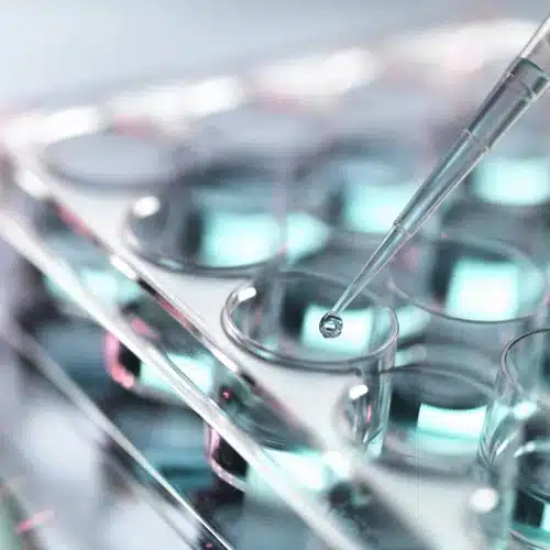 مواد بیولوژی و مولکولی