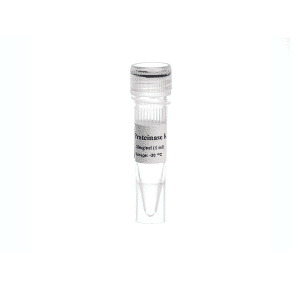 Proteinase K- 20mg/ml - 1ml