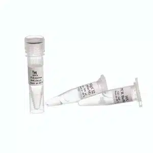 TAQ DNA POLYMERASE