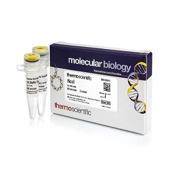 NcoI (10 U/µL) - ER0571