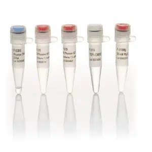 Phusion High-Fidelity DNA Polymerase - F530S