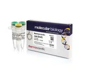 BamHI (10 U/µL)- ER0051 - 4,000 units