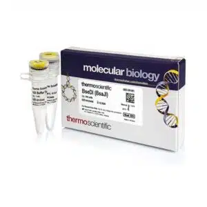 BseDI (BsaJI) (10 U/µL)