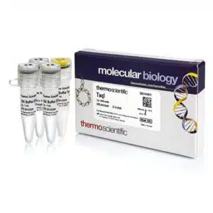 TaqI - ER0671