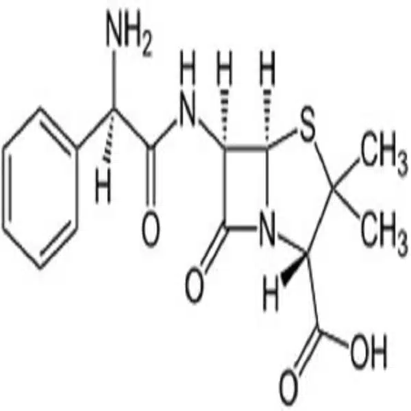 Ampicillin_Structural