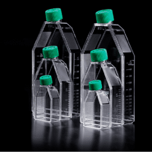 فلاسک فیلتردار کشت سلول SPL,T75