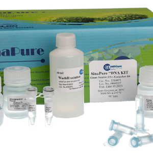 Sinapure-DNA gram(+) Bacteria-50R