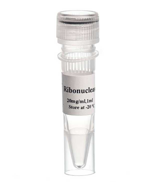 Ribonuclease A