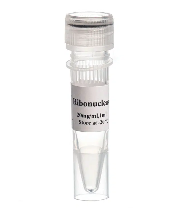 Ribonuclease A