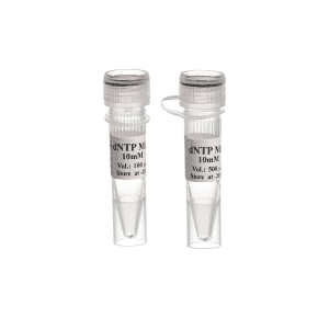 dNTP Mix - 500 µl