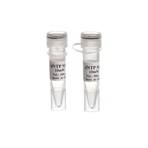 dNTP Mix - 500 µl