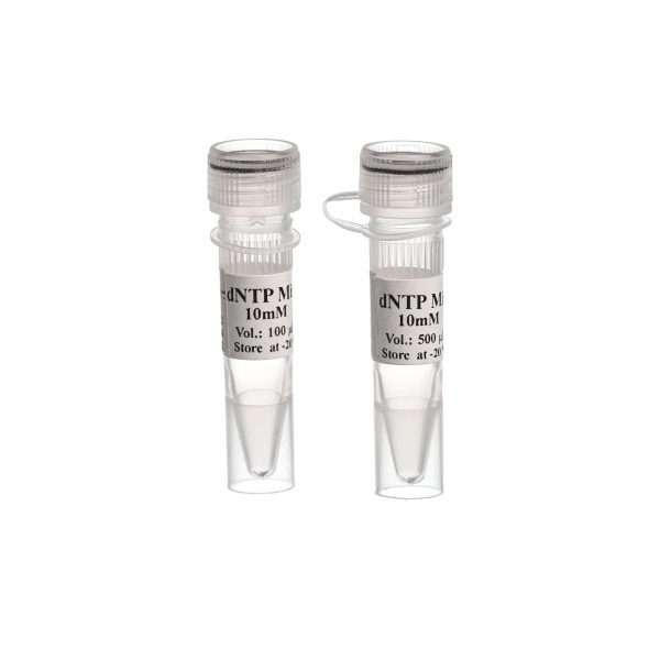 dNTP Mix - 500 µl