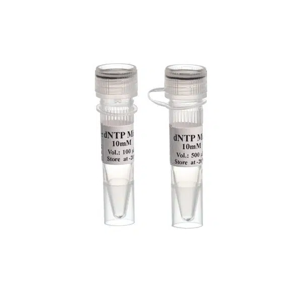 dNTP Mix - 500 µl