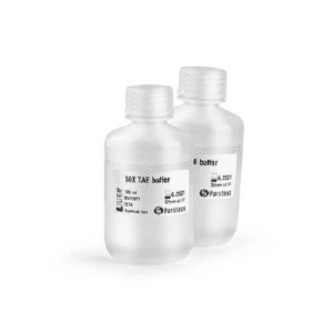 TAE buffer (50X)