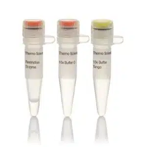 NotI (10 U/µL)- 300 units - ER0591