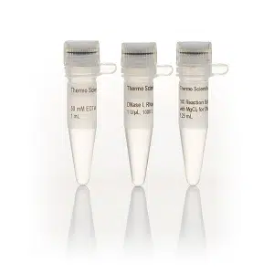 DNase I, RNase-free - EN0521