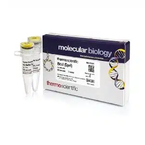 BcuI (SpeI) - ER1251