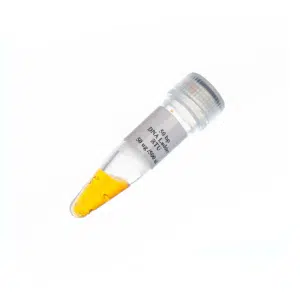 SL7021 - Ladder 50bp