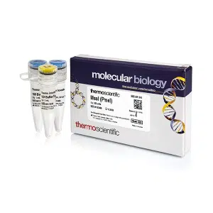 MssI (PmeI) - ER1341