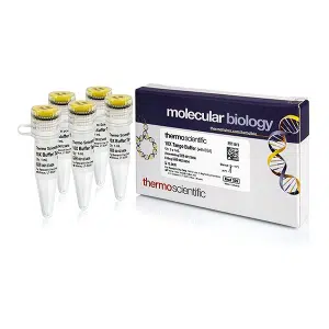 Tango-Puffer (10X) - BY5 - 5 x 1.0 mL