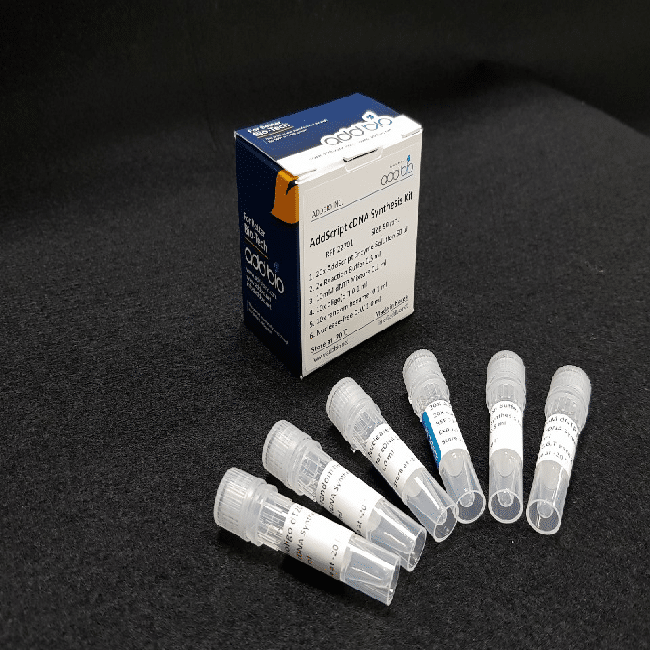 AddScript cDNA Synthesis Kit 50 rxn addbio