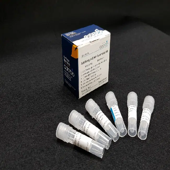 AddScript cDNA Synthesis Kit 50 rxn addbio