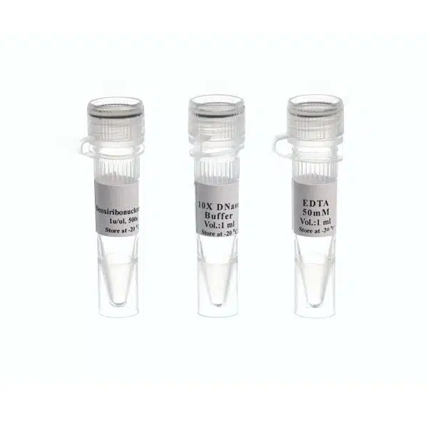 DNase I.Rnase-free500U