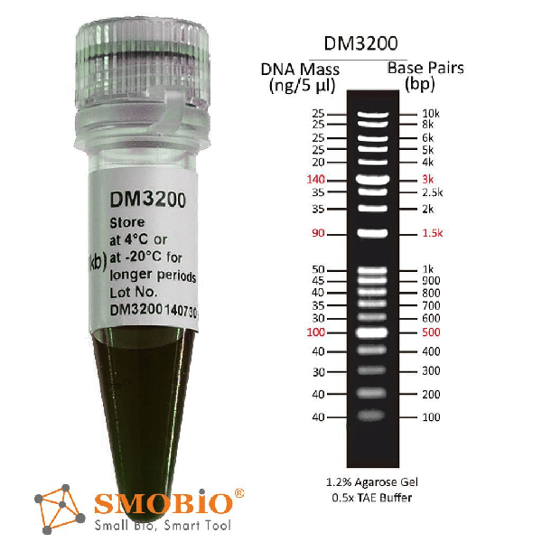 LADDER 100 -10,000 bp- DM3200