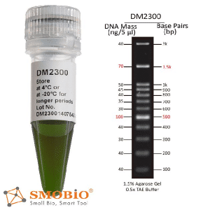 LADDER 100 bp+3K - DM2300