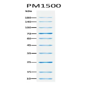 PM1500- SMOBIO