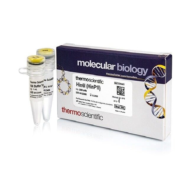Hin6I (HinP1I)